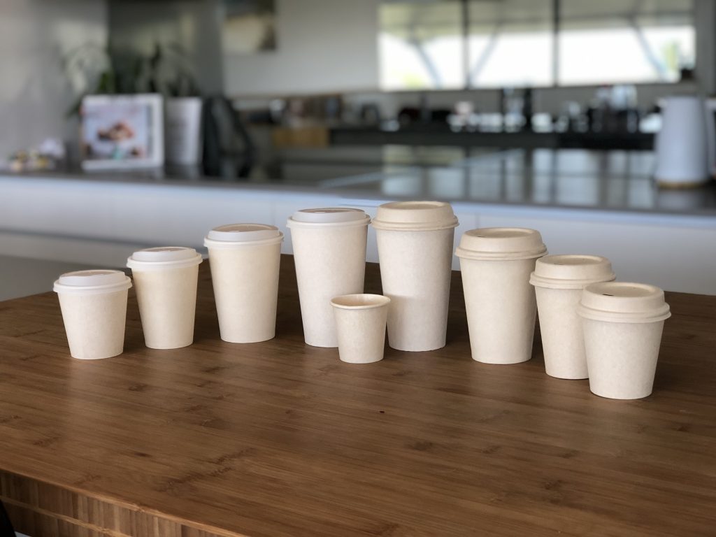 Sugarcane biodegradable cups and lids