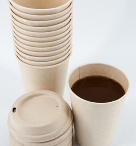 12oz biodegradable coffee cups