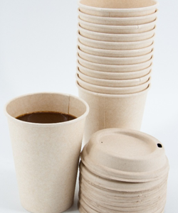 8oz biodegradable coffee cup